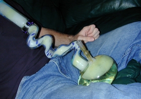 Big Zong Bong